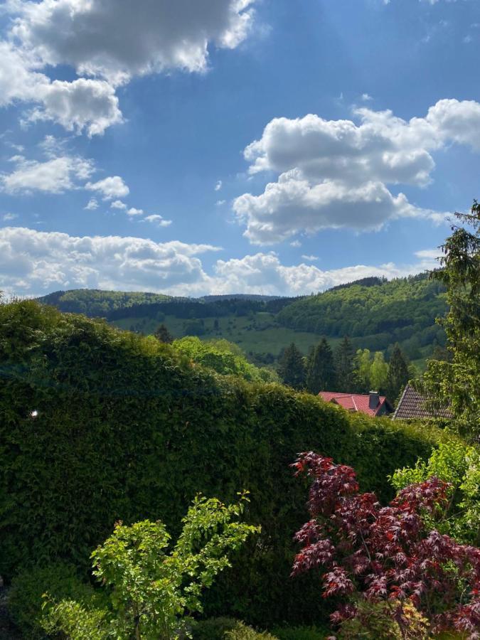 Вилла Hills Hut Лангельсхайм Экстерьер фото